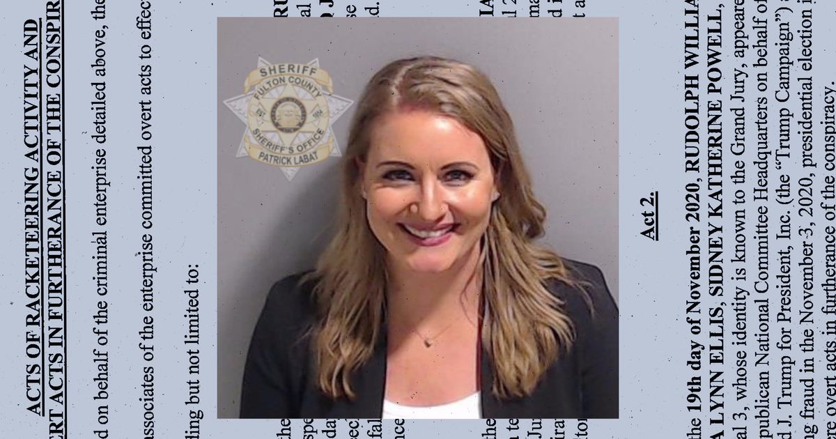 Trump Lawyer Jenna Ellis Pleads Guilty in Case