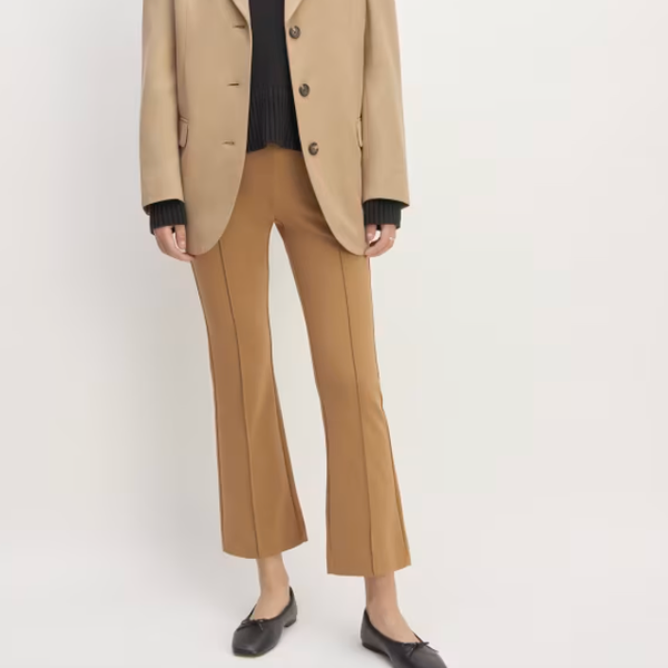 Everlane The Dream Kick Flare Pant