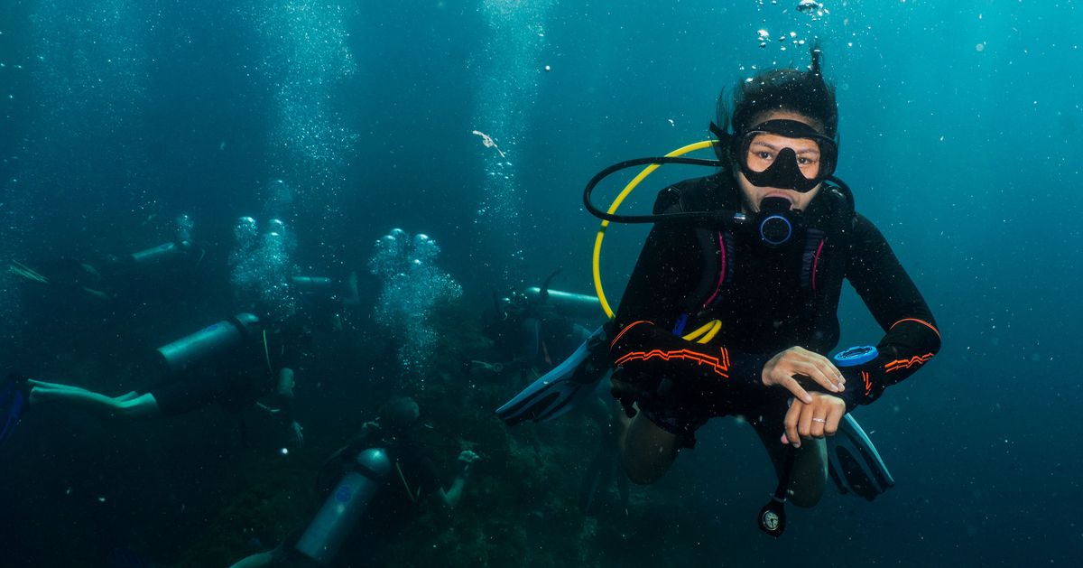 Cressi Neon Diving Computer Watch Four Operative Modes with a Simple  Interface Scuba Freediving Equipment Created