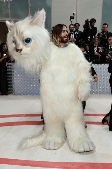 Met Gala 2023: All the Looks [Live Photos]