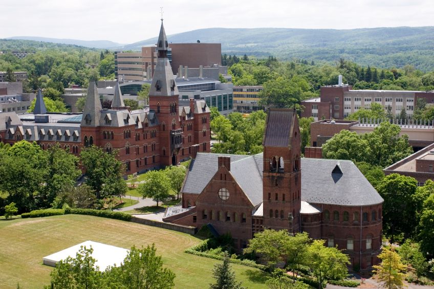 Amateur Porn Star Crashes Cornell Libraries