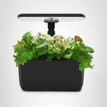 AeroGarden Harvest Lite