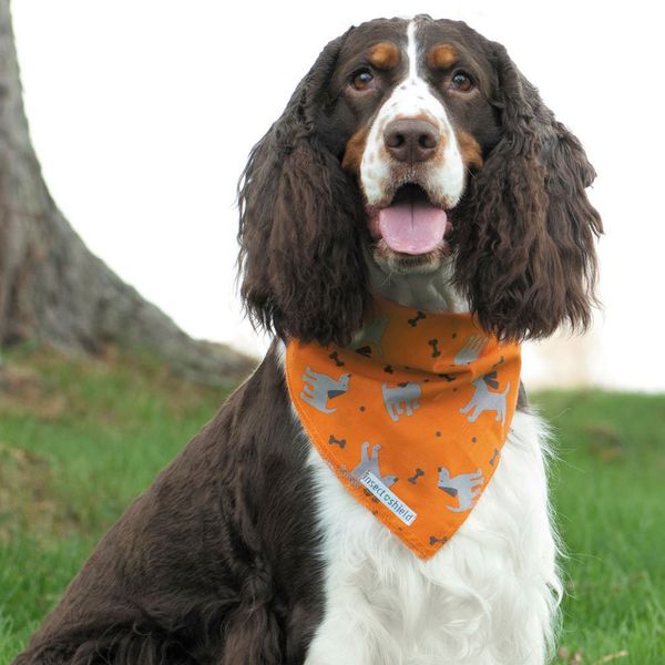 Insect Shield Dog Insect-Repellent Bandanna