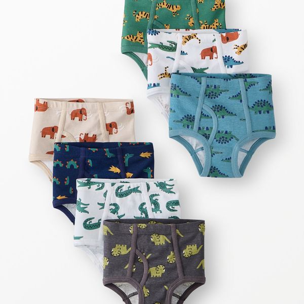 Hanna Andersson Organic Cotton Classic Briefs