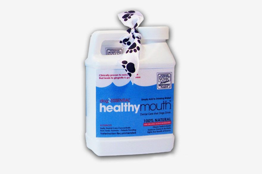 cat essential healthy mouth toothpaste