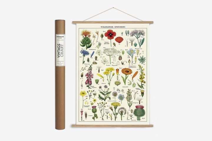 Vintage-Style Wildflower Poster With Hanger Kit