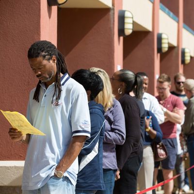 Georgians wait in line to vote.