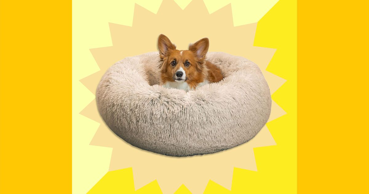Best Friends By Sheri Calming Donut Dog Bed Sale 2023 The Strategist large-elevated-dog-bed-comfortable-resting-spot-for-your-pet-keepet