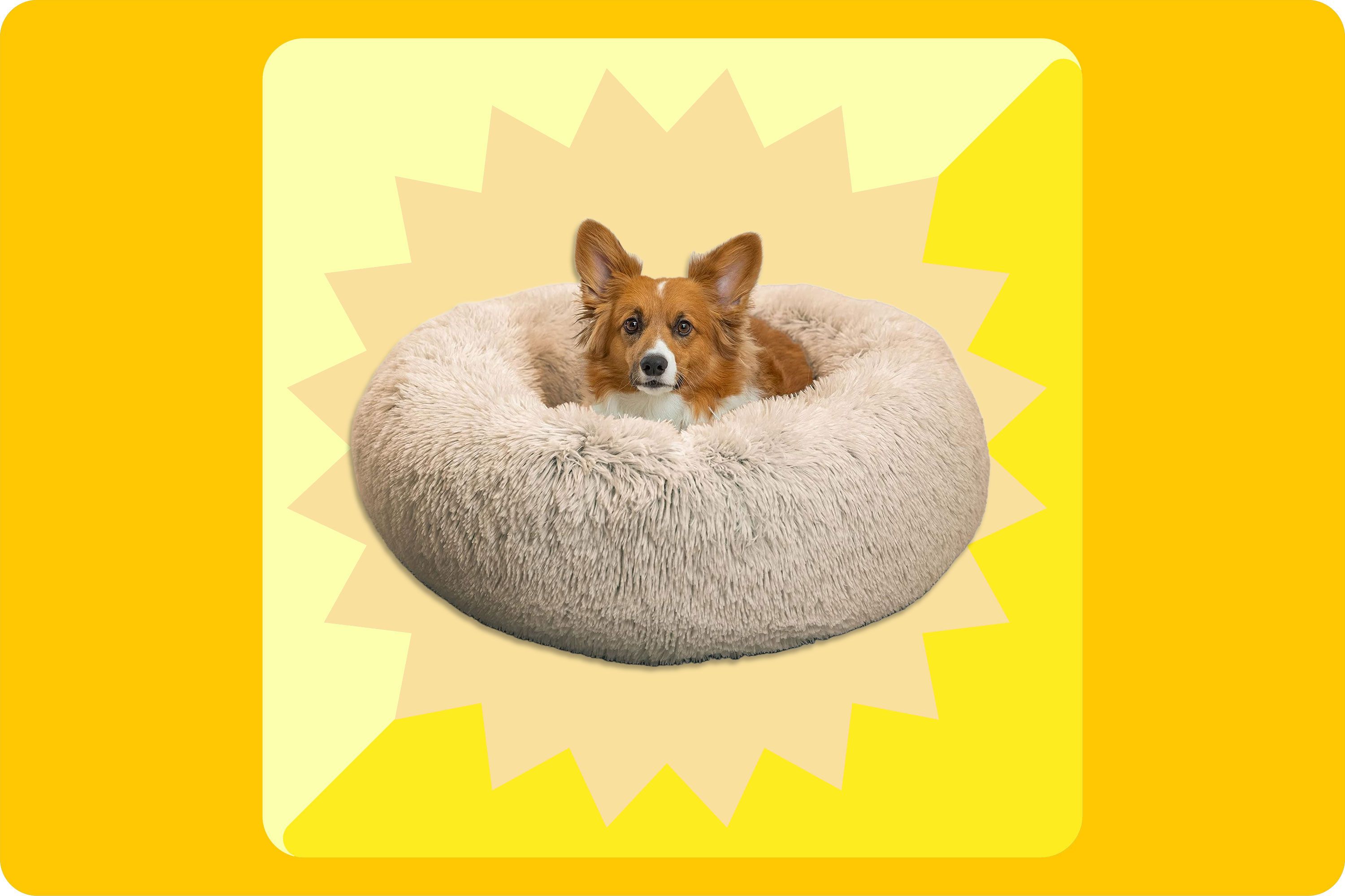 https://pyxis.nymag.com/v1/imgs/8b4/eae/02e3716be8483dfdf328a6911d468a1079-dotd-dog-bed.jpg