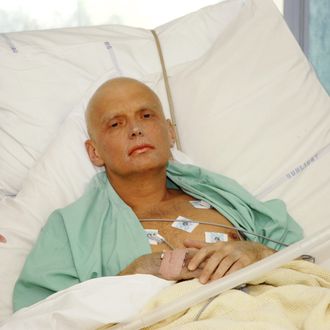 Alexander Litvinenko is pictured at the Intensive Care Unit of University College Hospital on November 20, 2006 in London, England.