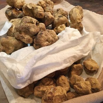 The Mu Ramen team's stockpile of white truffles.