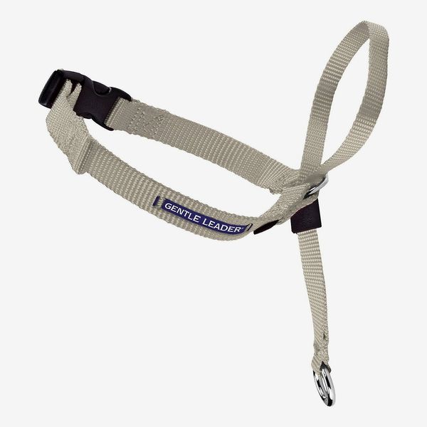 PetSafe Premier Gentle Leader Quick Release Dog Headcollar