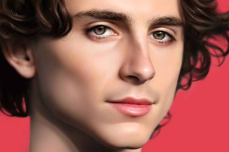 Timothée Chalamet Could Be Our Next Great Leading Man