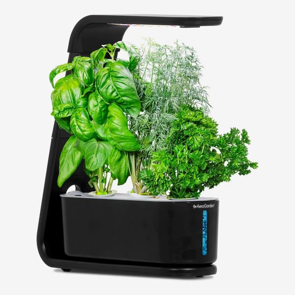 AeroGarden Sprout