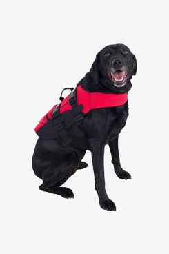NRS CFD Dog Life Jacket