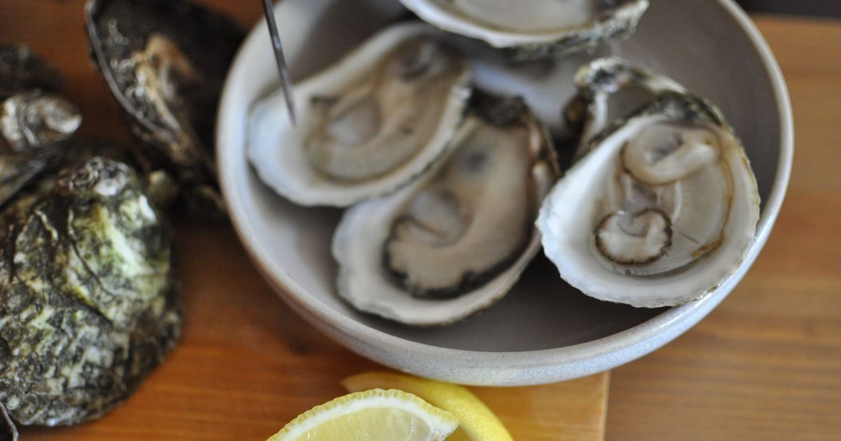 East Coast Oyster Industry Crippled by Widespread Microbial Infection