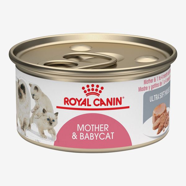 Royal Canin Mother & Babycat Ultrasoft Mousse in Sauce Wet Cat Food