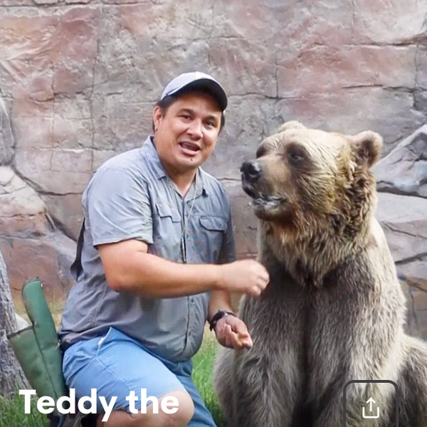 Cameo Teddy the Famepark Bear