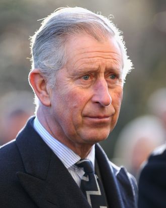 Prince Charles, Prince of Wales presents operational medals to servicemen and women of Commando Helicopter Force in Clarence House garden on December 9, 2011 in London, England. The Commando Helicopter Force was formed in 1997 and is an elite aviation group consisting of four Naval Air Squadrons.