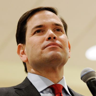 Presidential Candidate Marco Rubio Campaigns In Florida