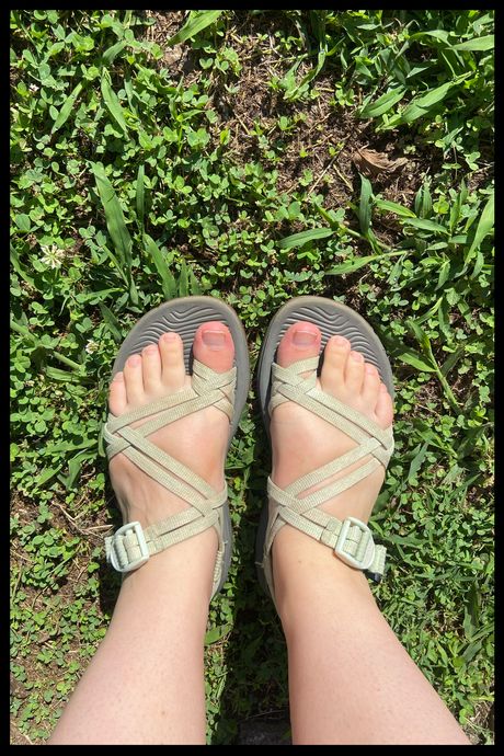 A photo of a pair of Chaco sandals on a person's feet, in grass.