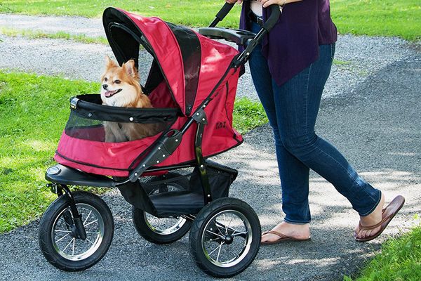 baby holder for dogs