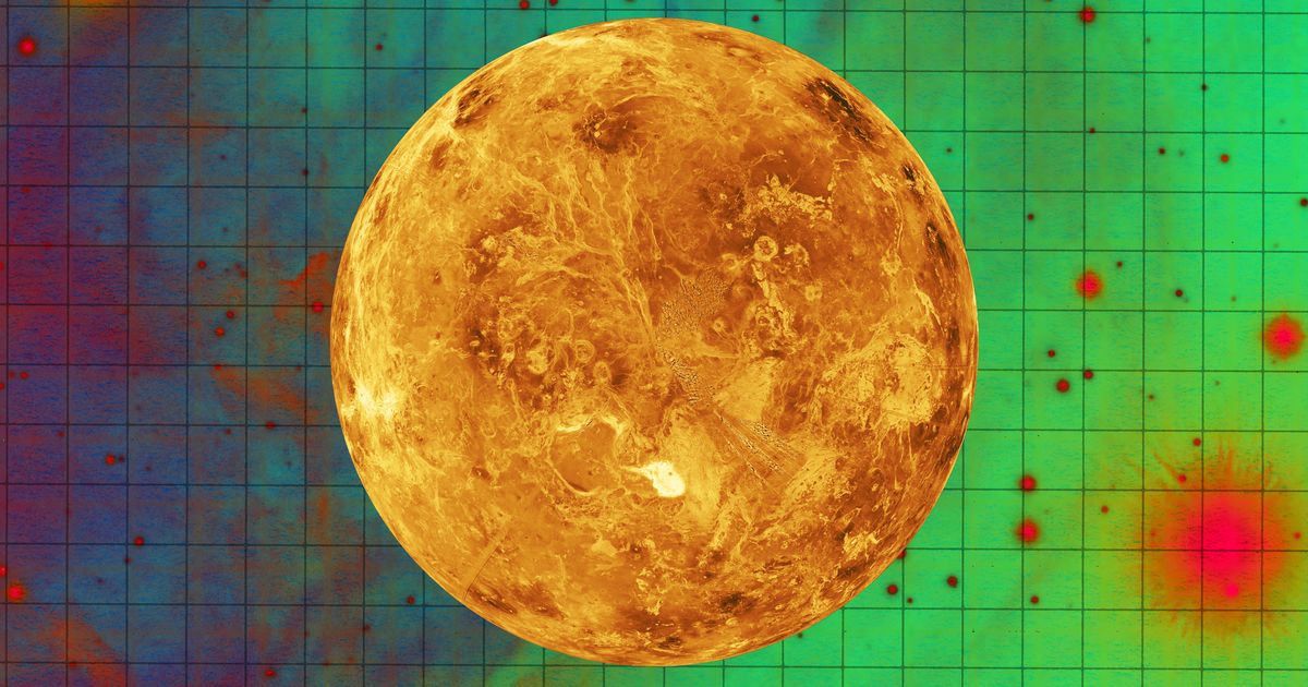 Venus Retrograde Is Here: How to Prepare (and Survive)