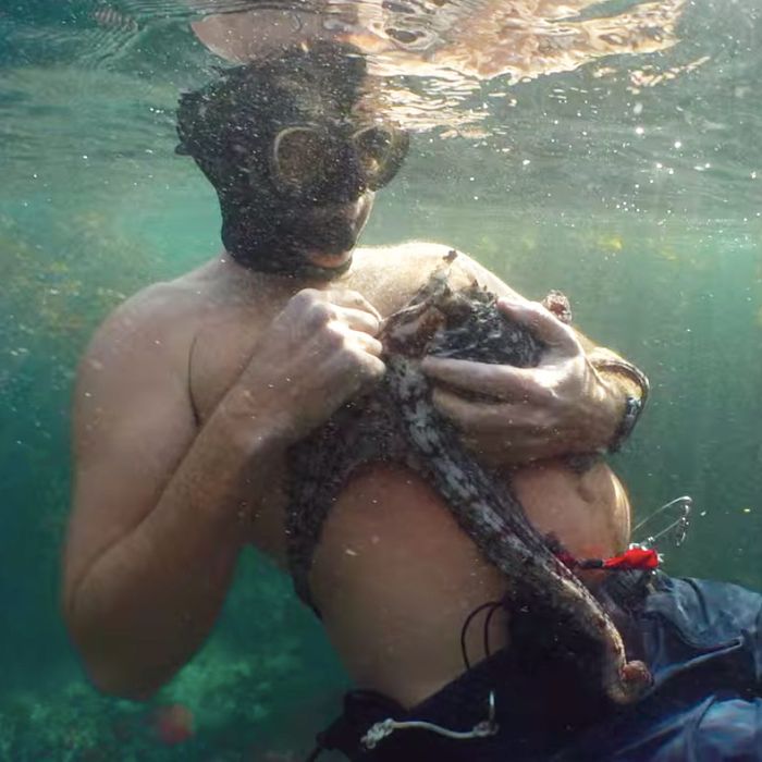 My Octopus Teacher.