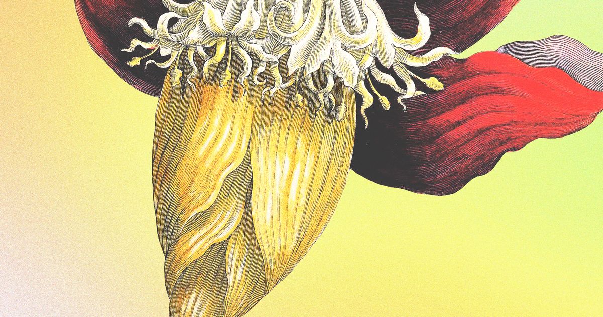 My Secret Pelvic-Organ Prolapse