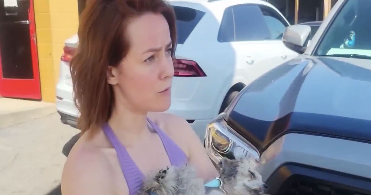 Jena Malone Helps Rescue Injured Dog With Citizen’s Arrest