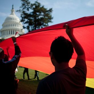 WASHINGTON - OCTOBER 11: Activists carry a rainbow flag on the West Lawn of the US Capitol Building during a protest October 11, 2009 in Washington, DC. Activists gathered in DC to push President Barack Obama's administration and the U.S. Congress to live up to promises to the lesbian, gay, bisexual and transgender community to advance civil rights. (Photo by Brendan Smialowski/Getty Images)