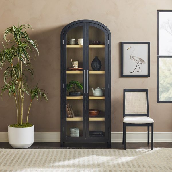 Red Barrel Studio Modern Arched Standard Bookcase with Glass Doors