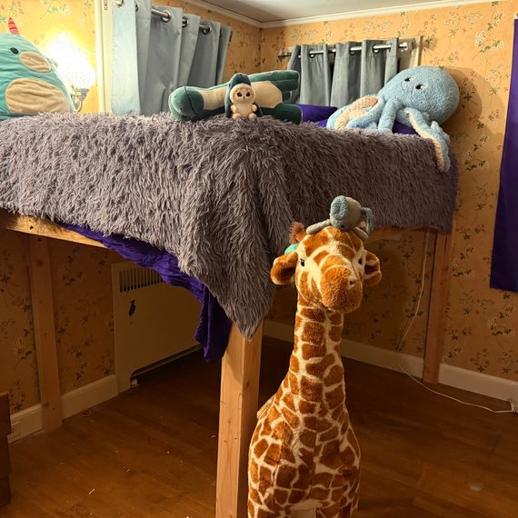 A pride flag hangs on the wall and several stuffed animals sit on the lofted bed in a teenager&rsquo;s bedroom.