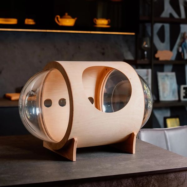 The Best Cat Houses, According to Cat People | The Strategist