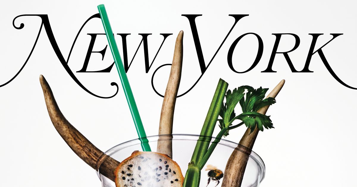 New York Magazine Issue November 6 2023 New York Magazine Issue November 6 2023
