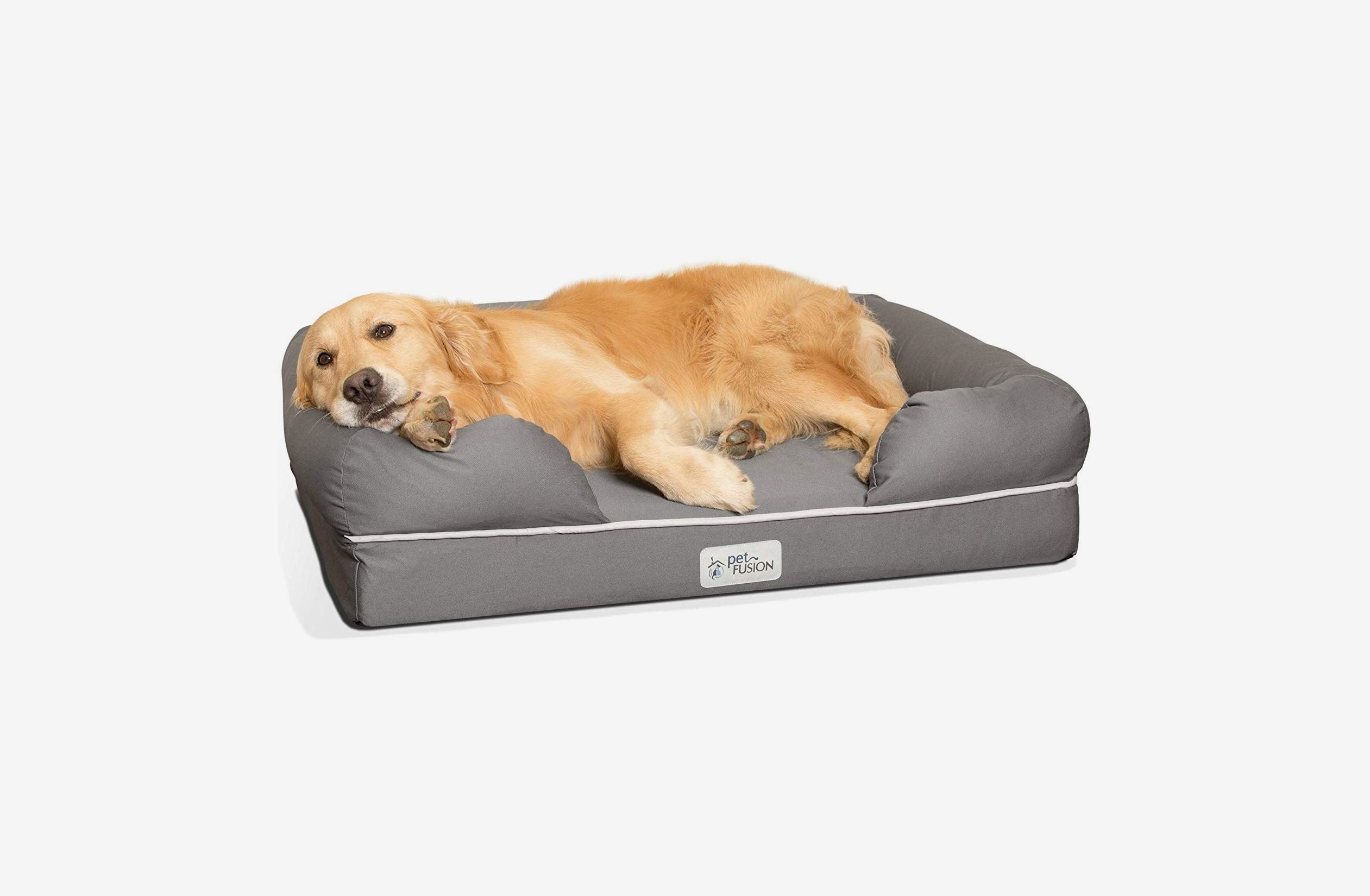 Classy Bee Designer Bed For Dogs