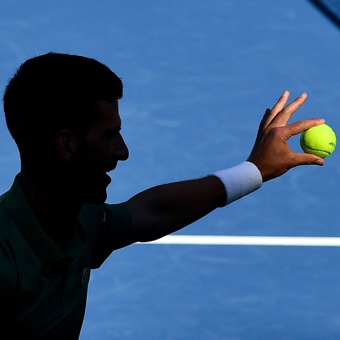 The Government Has Forced Me to Side With Novak Djokovic
