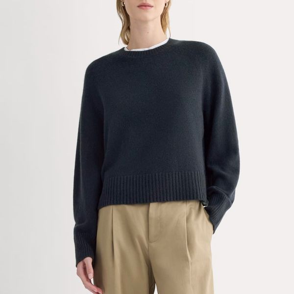 Everlane The Boxy Crew in Cashmere