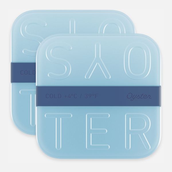 Oyster Ice Blocks (Set of 2)