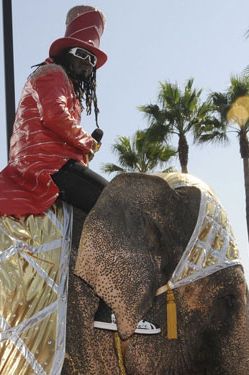 How has there never been a song called "I'm On An Elephant?"