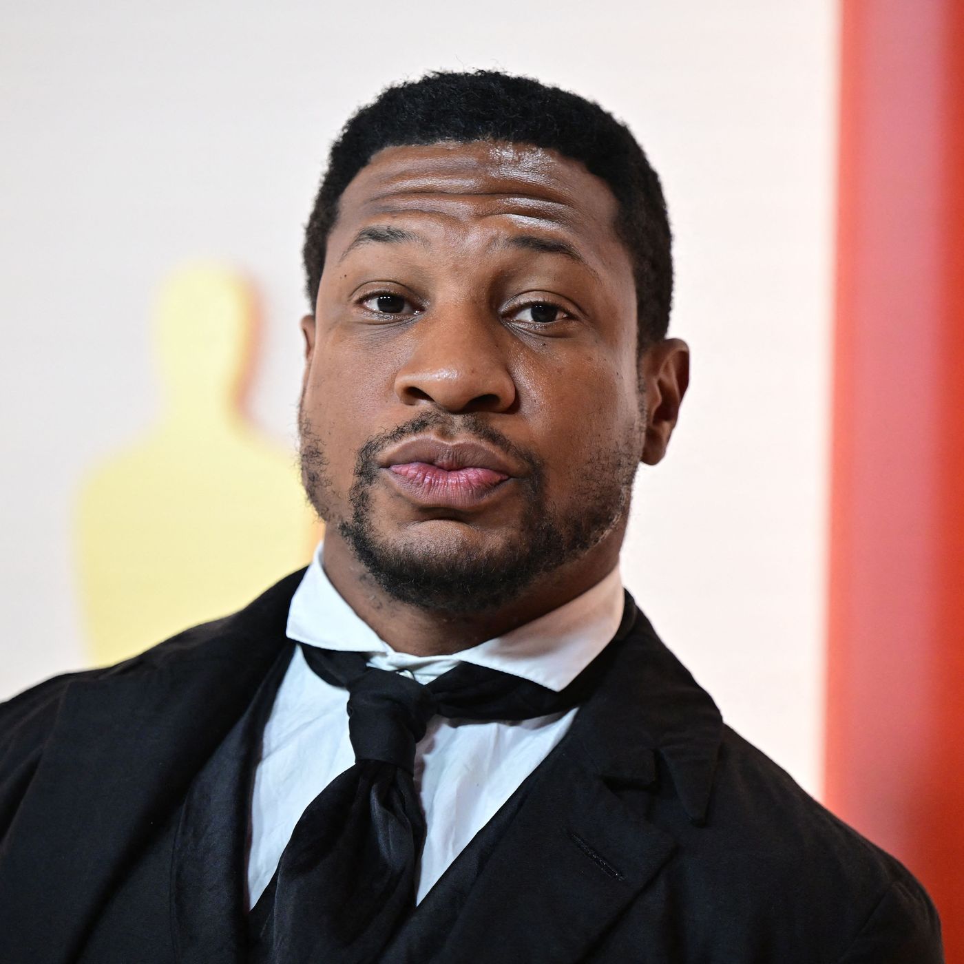 Everything Jonathan Majors Has Been Dropped From