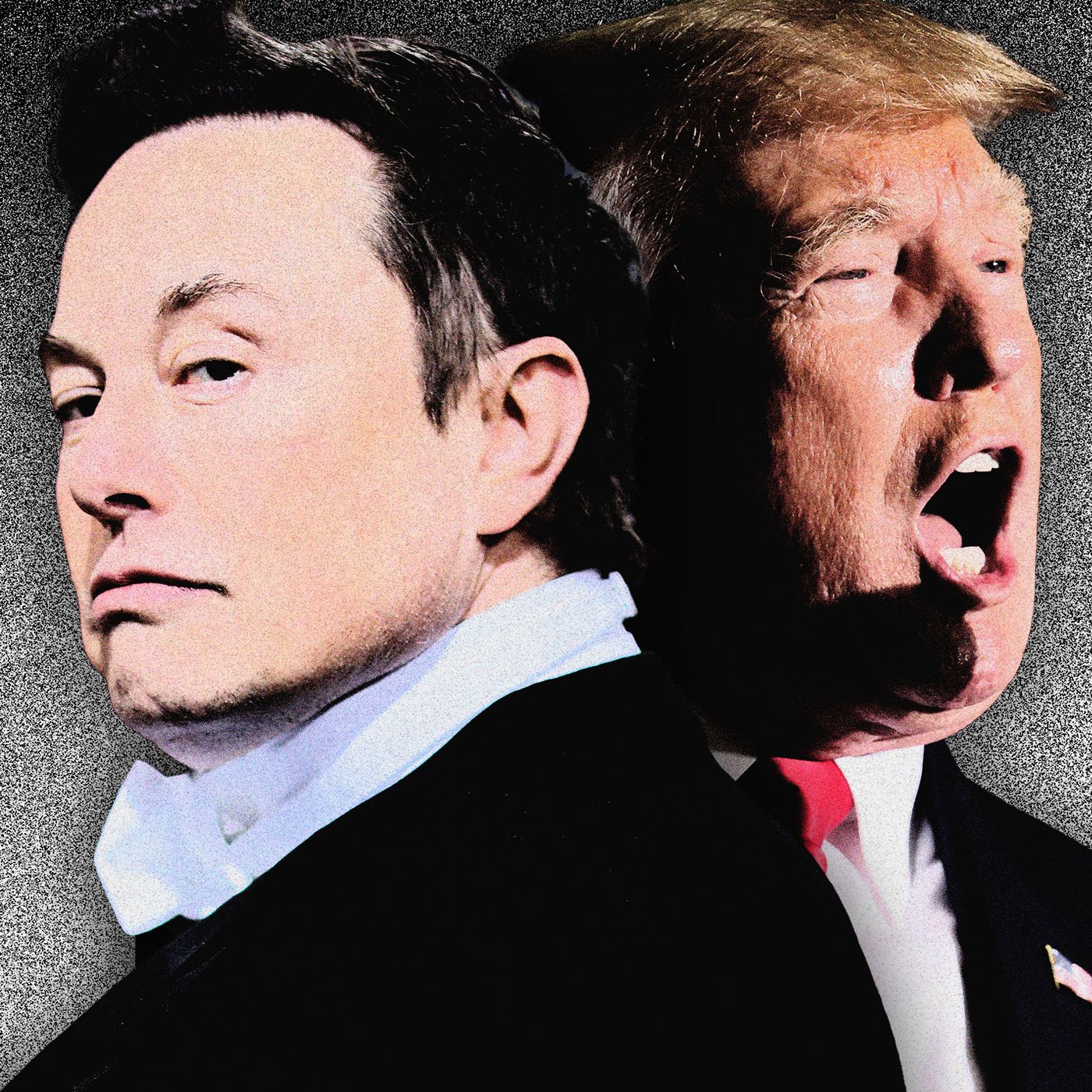 The Donald Trump–Elon Musk Feud: A Complete History