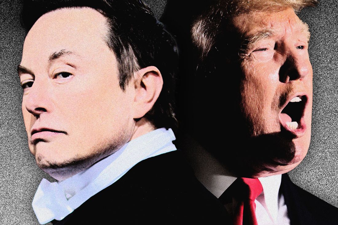 The Chaotic History of Donald Trump & Elon Musk’s Alliance