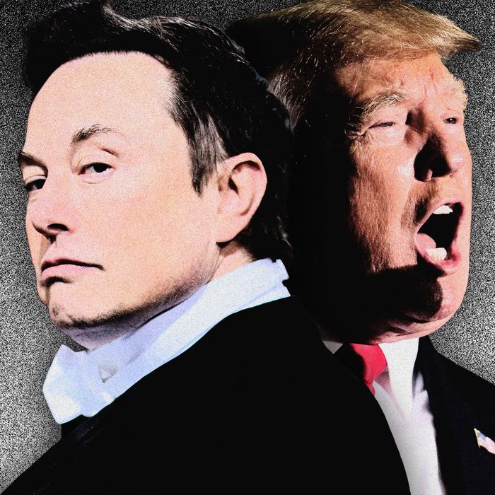 The Donald Trumpelon Musk Feud A Complete History 