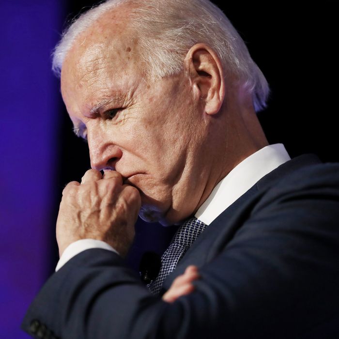 Biden Vice-Presidential Pick: Pros and Cons of Top Prospects