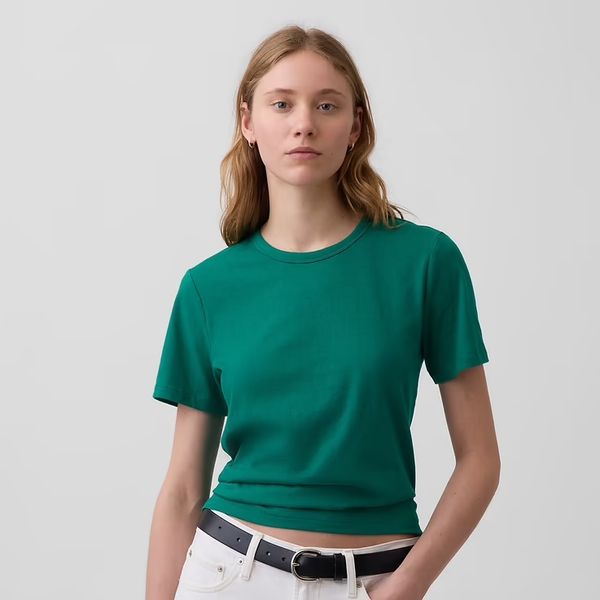 Gap Organic Cotton VintageSoft T-Shirt