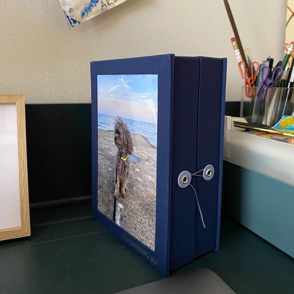 Savor Pet Story Box: Frame & Keepsake in One
