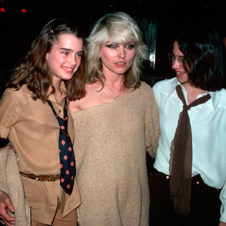 The Brooke Shields Look Book