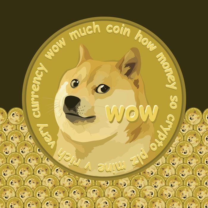 Why Dogecoin Is Forcing People to Take It Seriously