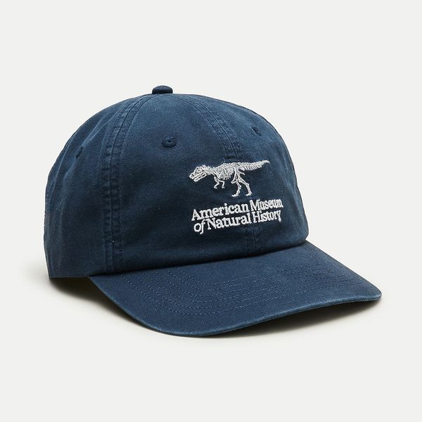 American Museum of Natural History for J.Crew Embroidered Baseball Cap